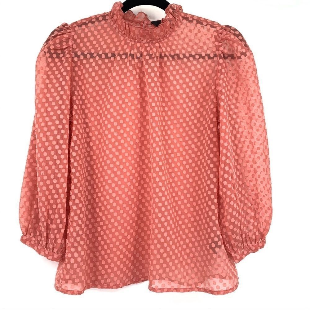 Walter Baker Polka Dot Sheer Blouse
